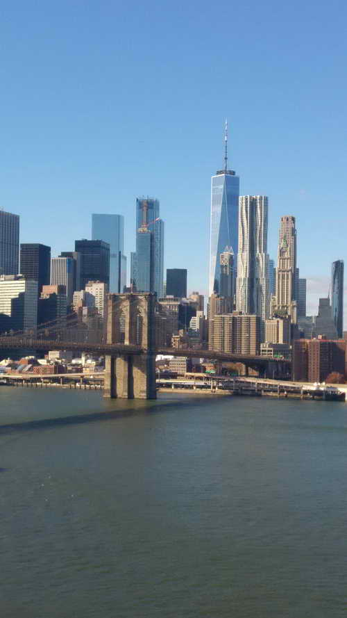 NYC_2017-11-26 12-49-39_CELL_20171126_124940